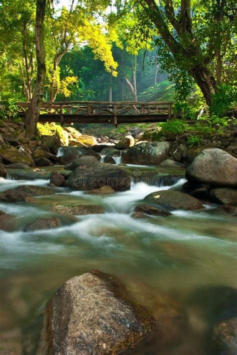 Bridge over the creek. stock photo. Image of flowing - 19405066