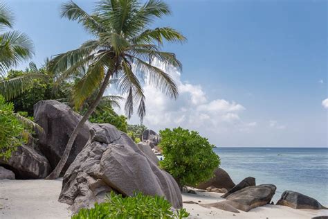 White Beach Anse Source d'Argent with granite rocks and Palm in La ...