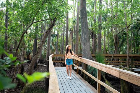 Discovering the Best Things To Do in Punta Gorda: Florida's Hidden Gem