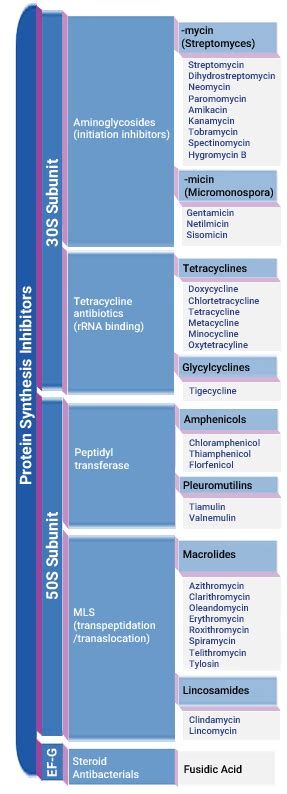 Antibiotic Classification Table