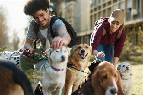 Cómo ser cuidador de perros por el mundo: viaja con tu pasión