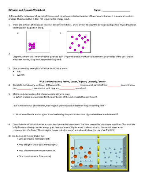 Diffusion and Osmosis Worksheet