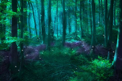 Magical Forest Wallpapers - Top Free Magical Forest Backgrounds ...