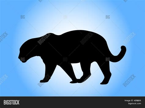 Jaguar Silhouette Image & Photo (Free Trial) | Bigstock