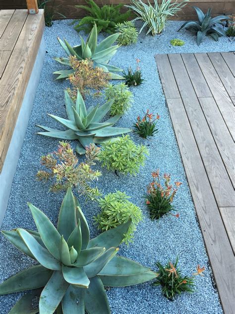 10 Beautiful Zeroscape Yards - gardenlovin | Succulent landscaping ...