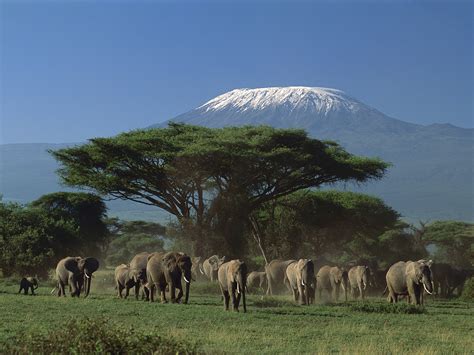 キリマンジャロ|死ぬまでに行きたいタンザニアの絶景