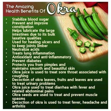 Benefits of okra - bytesplora