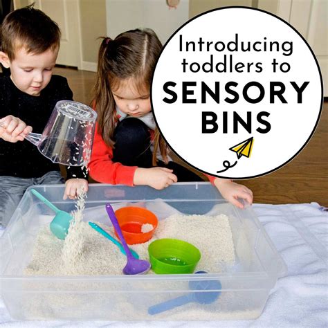 Sensory Bins for Toddlers - Busy Toddler - Sunshine Billingual The Blog