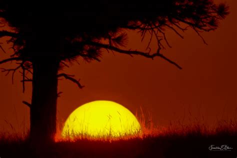 Sunset On the Grassy Hill - Bliss Photographics Smoke