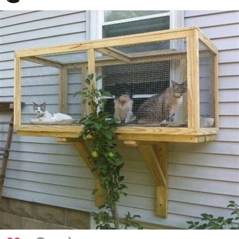 ?Can you build your own catio? · ?The main parts of a catio · ?Catio Design Ideas *** (paid link ...