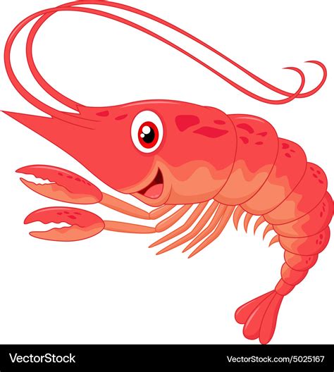 Cute shrimp cartoon Royalty Free Vector Image - VectorStock