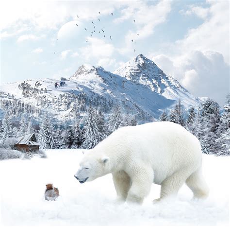 Polar Bear Snow Wildlife - Free photo on Pixabay - Pixabay