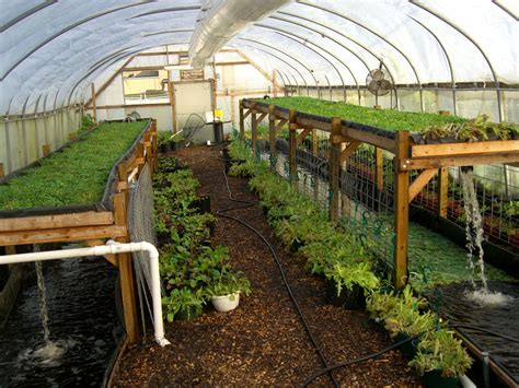 Aquaponics system workshops by Will Allen of Growing Power | Gardening and landscape | Pinterest ...