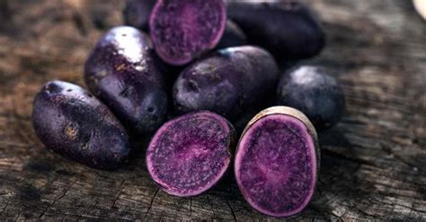 13 of the Best Purple and Blue Potato Varieties | Gardener’s Path