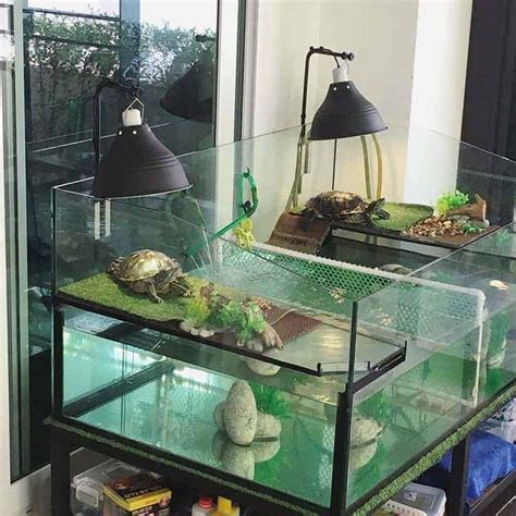 Tanque De Tortugas: Ideas, Guía De Instalación Y Hábitats | Acuario3Web