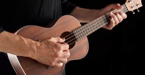 Tune Up! A Beginners Guide to Tenor Ukulele Tuning