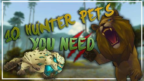 Best survival hunter pet