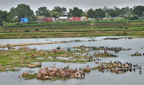 Steps to check pollution of Ameenpur lake - The Hindu