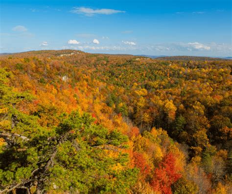 Hudson Valley Fall Foliage- 12 Places to Enjoy the Season