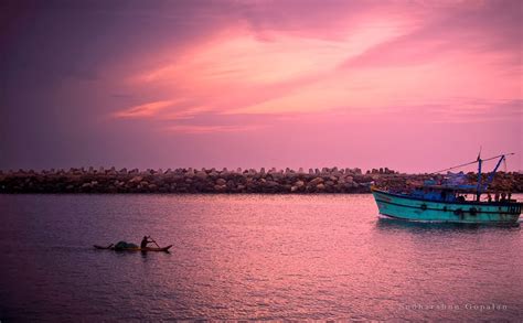 100 THINGS TO DO IN CHENNAI: #64 Visit Royapuram Fishing Harbour