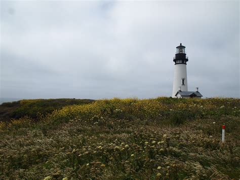 Yaquina Head Lighthouse, Newport, Oregon | Lighthouse, Newport, Oregon