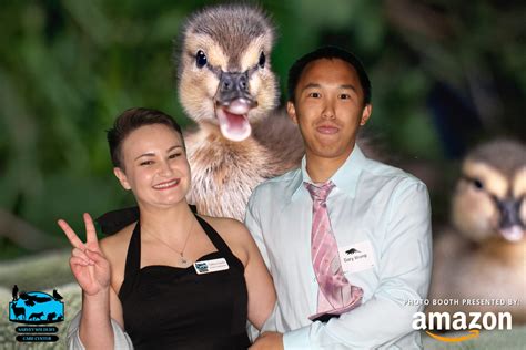 Sarvey Wildlife Go Wild Gala 2024 | The Puget Sound Photo Booth Co.