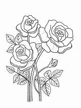 Printable Floral Coloring Sheets  Pages Adult sketch template
