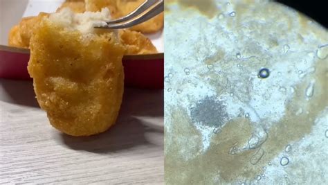 TikTok Reveals McNugget's Plastic Pieces Under Microscope - Nerdist