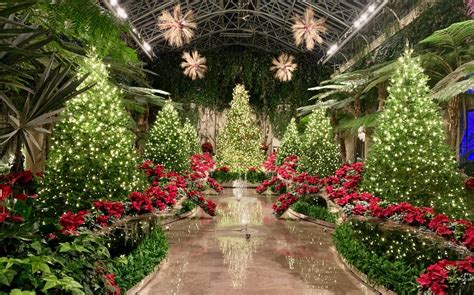 Info - A Longwood Christmas 2023 — Enchanted Gardens