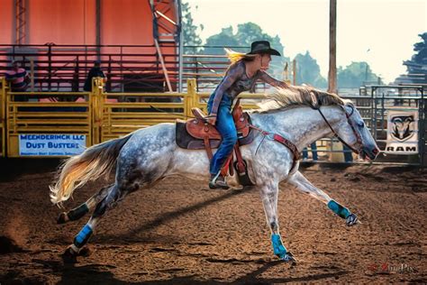 White Horse Blue Socks Barrel Racing