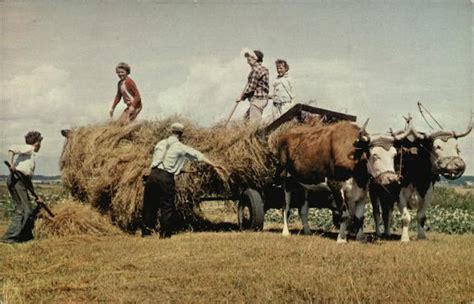 Hay Making Nova Scotia Canada