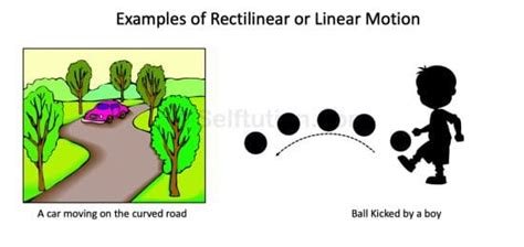 Types of Motion in Physics with Examples » Selftution