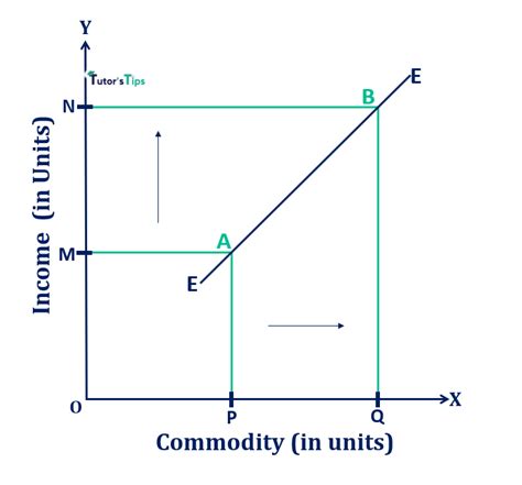 Engel Curve - Meaning and Explanation – Tutor's Tips