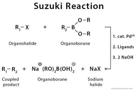 Suzuki Reaction: Definition, Example, Mechanism & Application