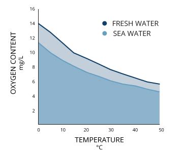 What Is Dissolved Oxygen In Water 2024 Atlantic Hurricane Season: NOAA Predicts Above-Normal ...