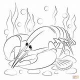 Printable Lobster Coloring Page sketch template