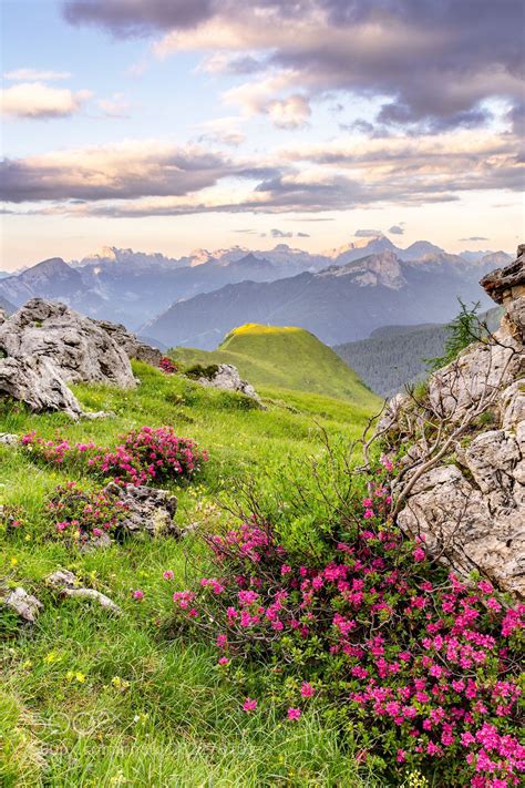 Sunrise on Passo Giau Dolomites Italy by petule_formankova | Mother ...