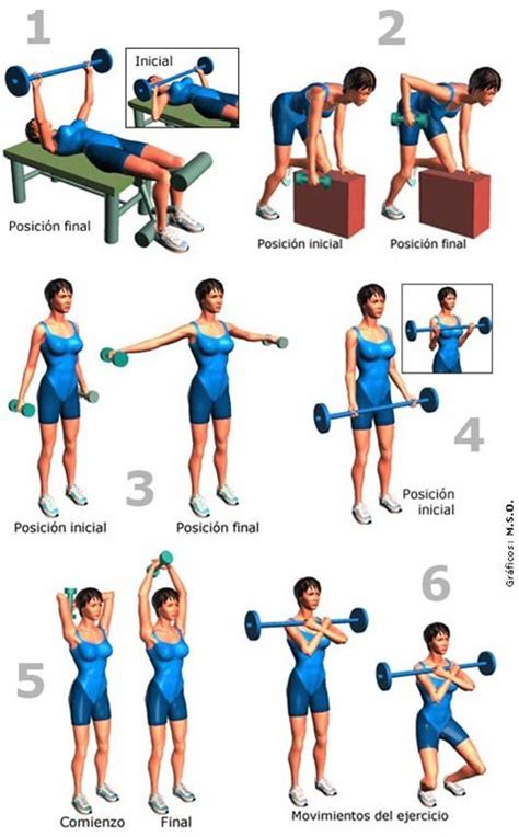 Pin by Vir Petinari on RUTINAS | Workout plan gym, Fitness mujer, Gym workouts