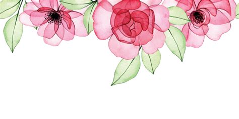 watercolor drawing. seamless border, transparent flowers frame, pink roses, buds and leaves. x ...