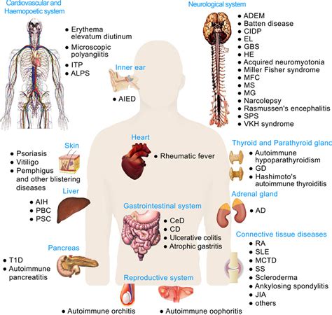 Diseases Of Autoimmune