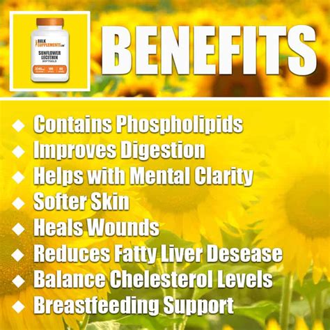 Sunflower Lecithin Softgel Capsules Benefits, Side Effects and Dosage | BulkSupplements.com