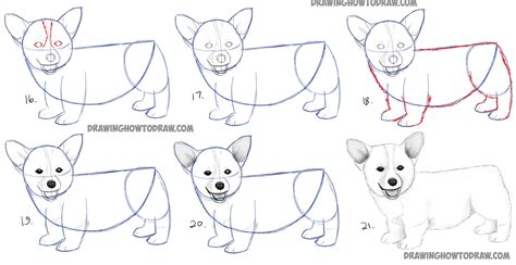 Dog Drawing Step By Step at PaintingValley.com | Explore collection of ...