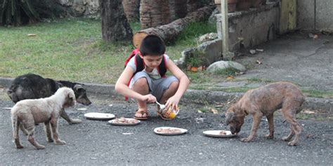 Animal Welfare Reforms to be Launched in Pakistani Schools