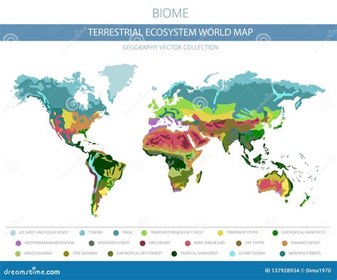 Tundra Biome Map