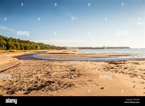 Baltic Coast, Estonia Stock Photo - Alamy