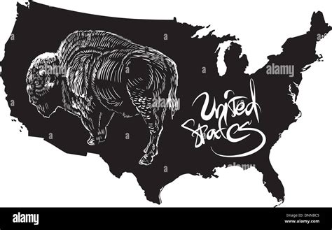 American buffalo and U.S. outline map. Black and white vector illustration. Bison bison Stock ...