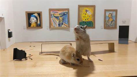 Bored Couple in Quarantine Build a Tiny Art Museum for Their Pet Gerbils