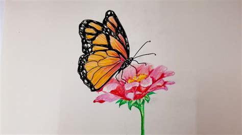 How to draw a Butterfly on a flower - YouTube