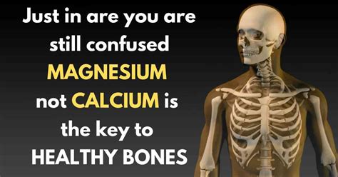 Magnesium, NOT Calcium, Is The Key To Healthy Bones