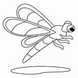 Premium Vector  Coloring Page Alphabets Animal cartoon dragonfly sketch template
